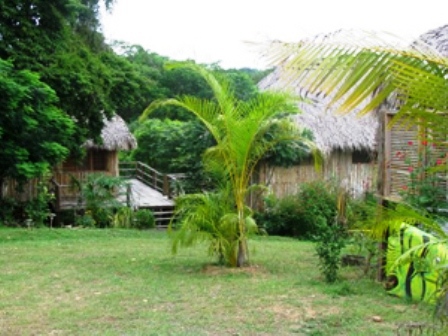 Playa Maderas Jungle Resorts