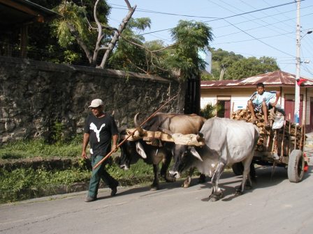 nicaragua transportation juan sur del san bus chicken options car taking few ox cart